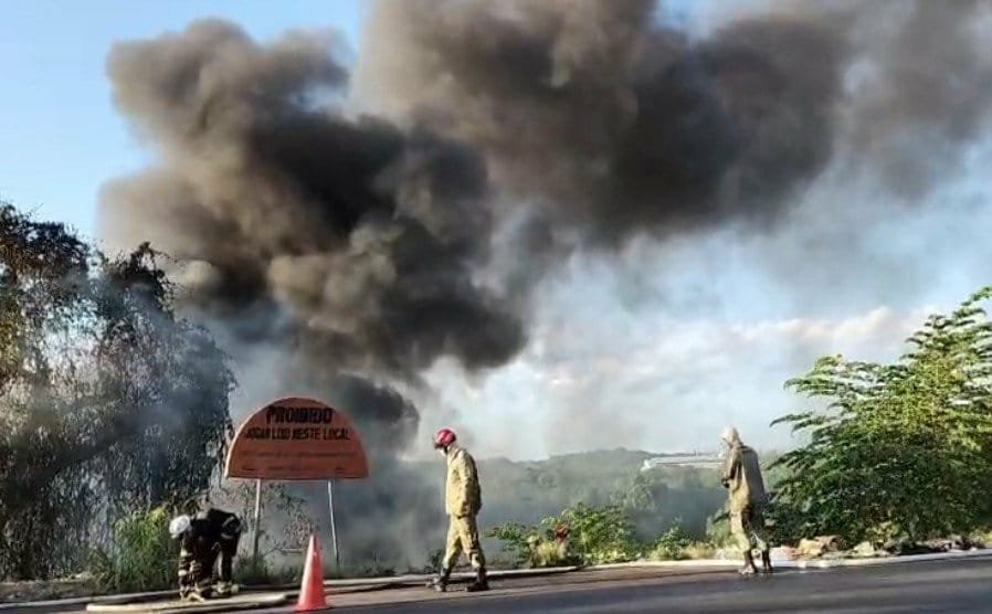 Fogo volta a atingir mata no Distrito Industrial de Manaus