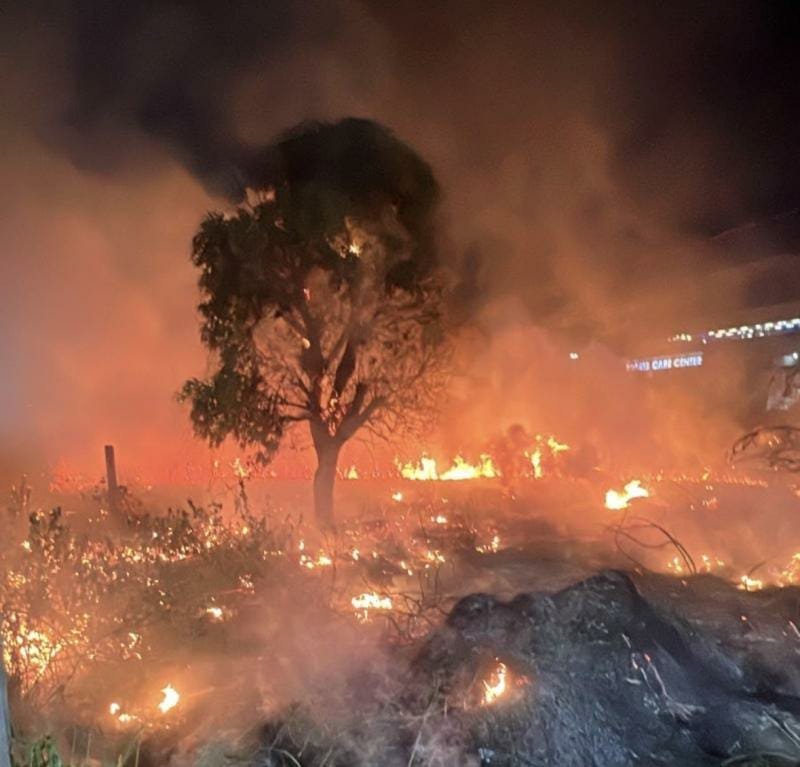 Incêndios florestais ameaçam imóveis em Manaus
