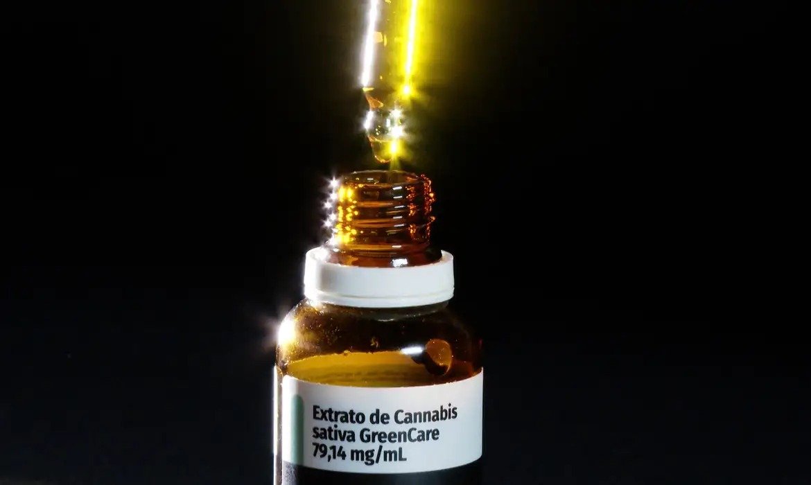 Importação de cannabis cresce entre brasileiros