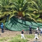 Lee Jae Myung, Jeju, polícia, Coreia do Sul, desaparecidos, crise