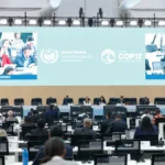 COP17 aposta em soluções baseadas na natureza