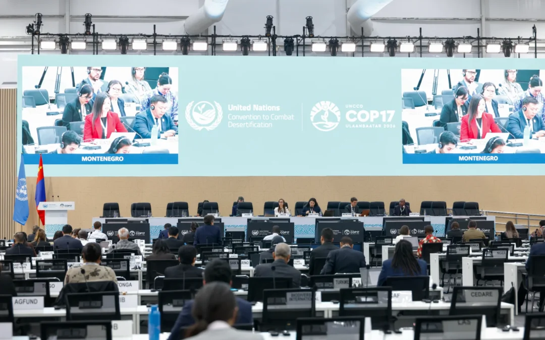 COP17 aposta em soluções baseadas na natureza