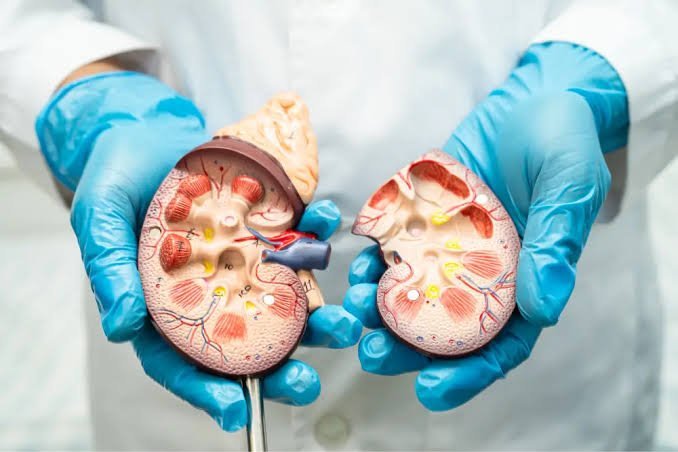 Exames para doença renal: estudo aponta baixa realização conjunta