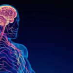 Esclerose múltipla: impactos na saúde mental preocupam
