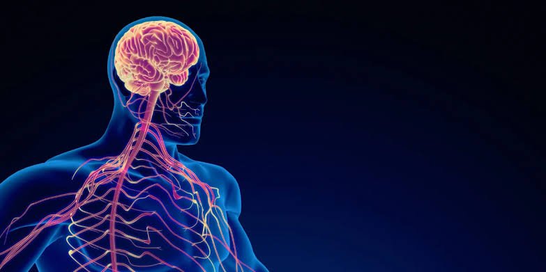 Esclerose múltipla: impactos na saúde mental preocupam
