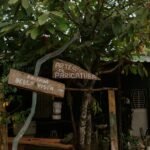 Gibi de Paricatuba também será fonte de renda comunitária