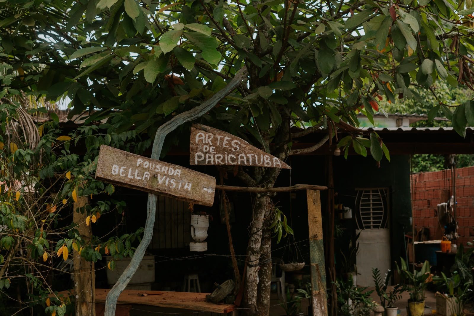 Gibi de Paricatuba também será fonte de renda comunitária