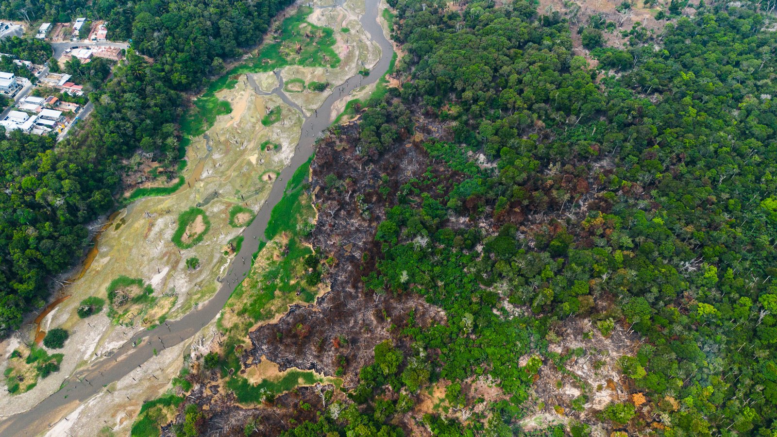 Incêndio causa preocupação com fauna no Parque das Tribos
