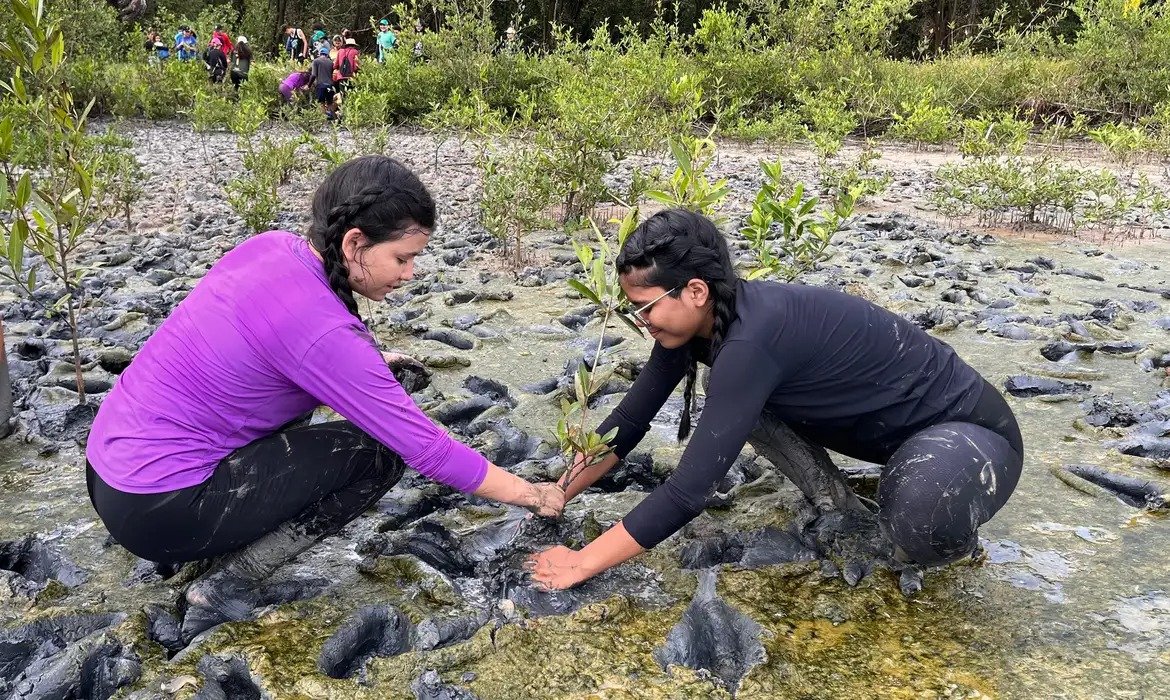 Fórum busca fortalecer políticas públicas de educação ambiental